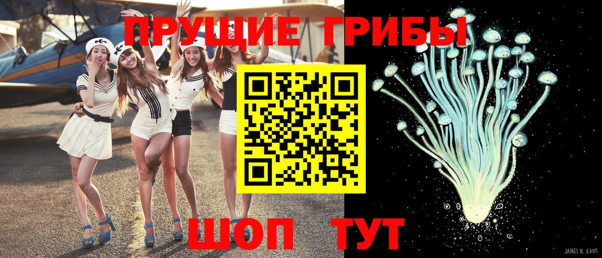 Галлюциногенные грибы мицелий  Вход с VPN  Волоколамск 