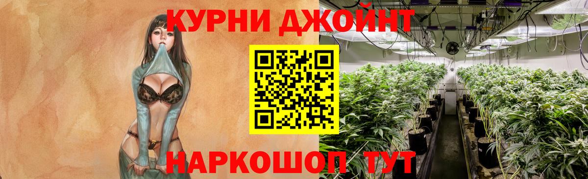 Конопля сатива Волоколамск